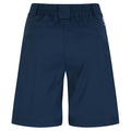 Moonlight Denim - Back - Dare 2B Womens-Ladies Torrek Shorts