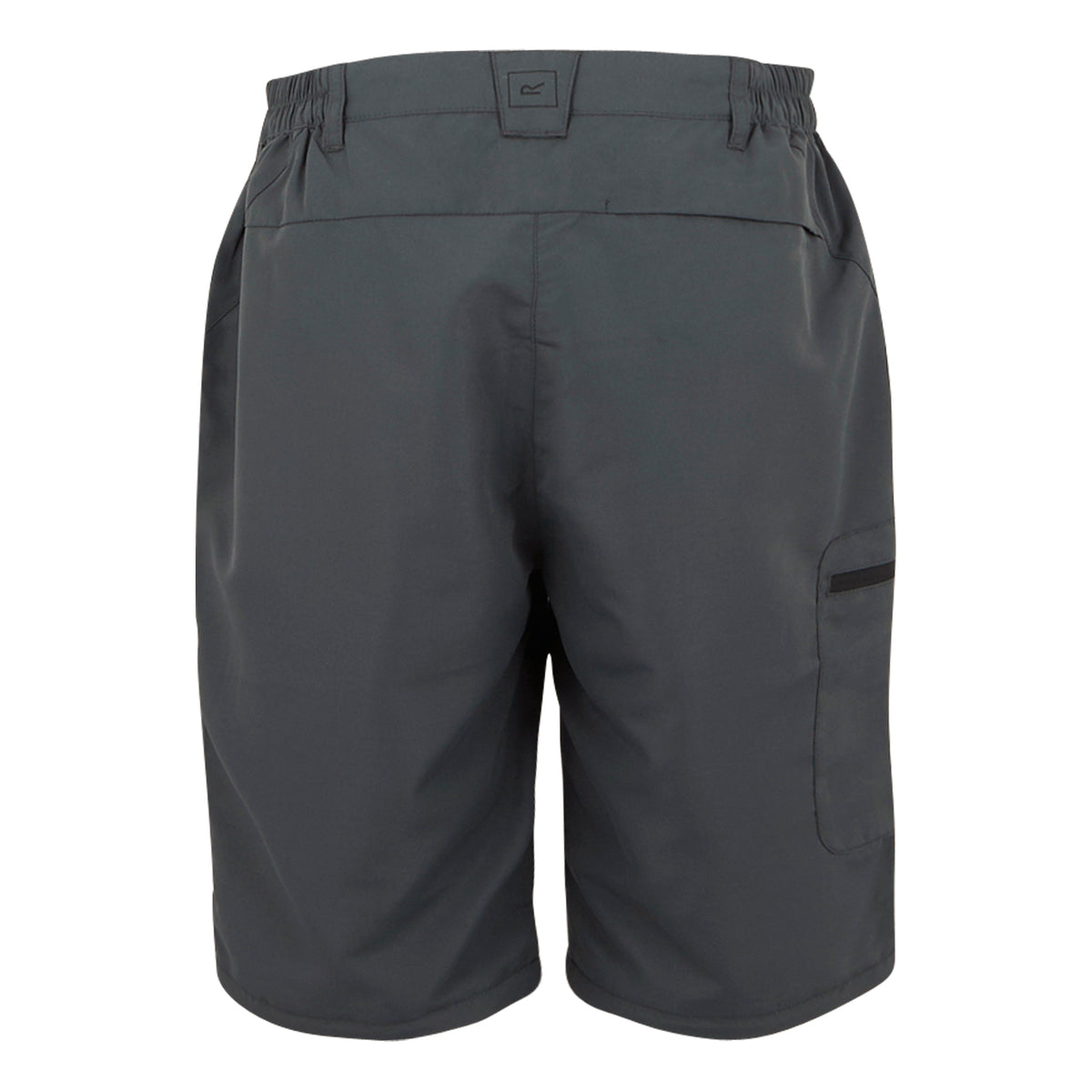 Seal Grey - Pack Shot - Regatta Womens-Ladies Chaska III Zip-Off Hiking Trousers