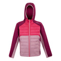 Lilas-Pop-Beaujolais - Front - Regatta Childrens-Kids Kielder IX Hybrid Jacket
