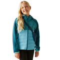 Moroccan Blue-Storm Blue-Nordic Blue - Lifestyle - Regatta Childrens-Kids Kielder IX Hybrid Jacket