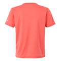 Peach Bloom - Back - Regatta Childrens-Kids Alvarado IX Mountain T-Shirt