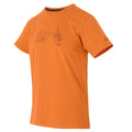 Fox - Side - Regatta Mens Breezed Mountain T-Shirt