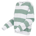 Glacier-White - Side - Regatta Womens-Ladies Avika II Stripe Crew Neck Jumper
