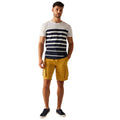 White-Navy - Lifestyle - Regatta Mens Shorebay III Striped T-Shirt