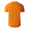 Desert Sun - Back - Dare 2B Mens Movement III Mountain Life T-Shirt