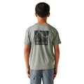 Glacier - Pack Shot - Regatta Childrens-Kids Alvarado IX Mountain T-Shirt