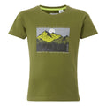 Nephrite Green - Front - Regatta Childrens-Kids Bosley VIII Mountain T-Shirt