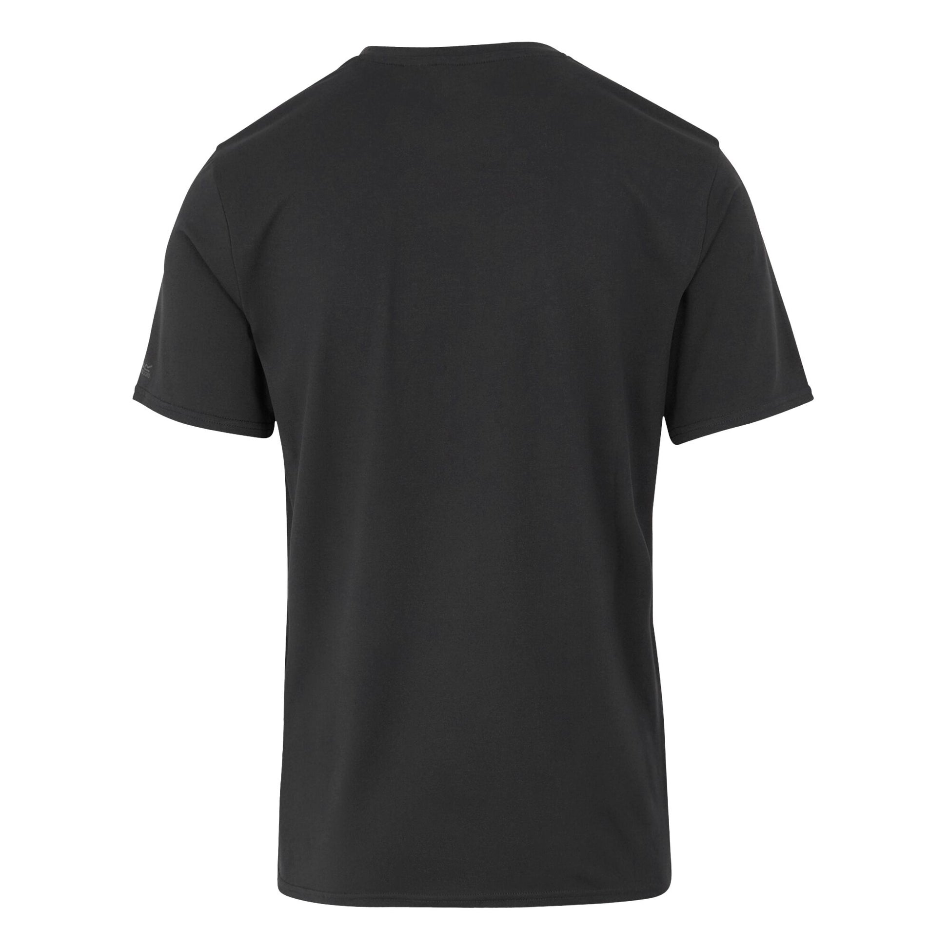 Ash - Back - Regatta Mens Fingal Hiker Stretch T-Shirt