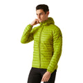 Grenoble Green - Lifestyle - Regatta Mens Hurden Padded Jacket