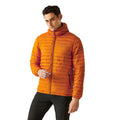 Fox - Lifestyle - Regatta Mens Hurden Padded Jacket