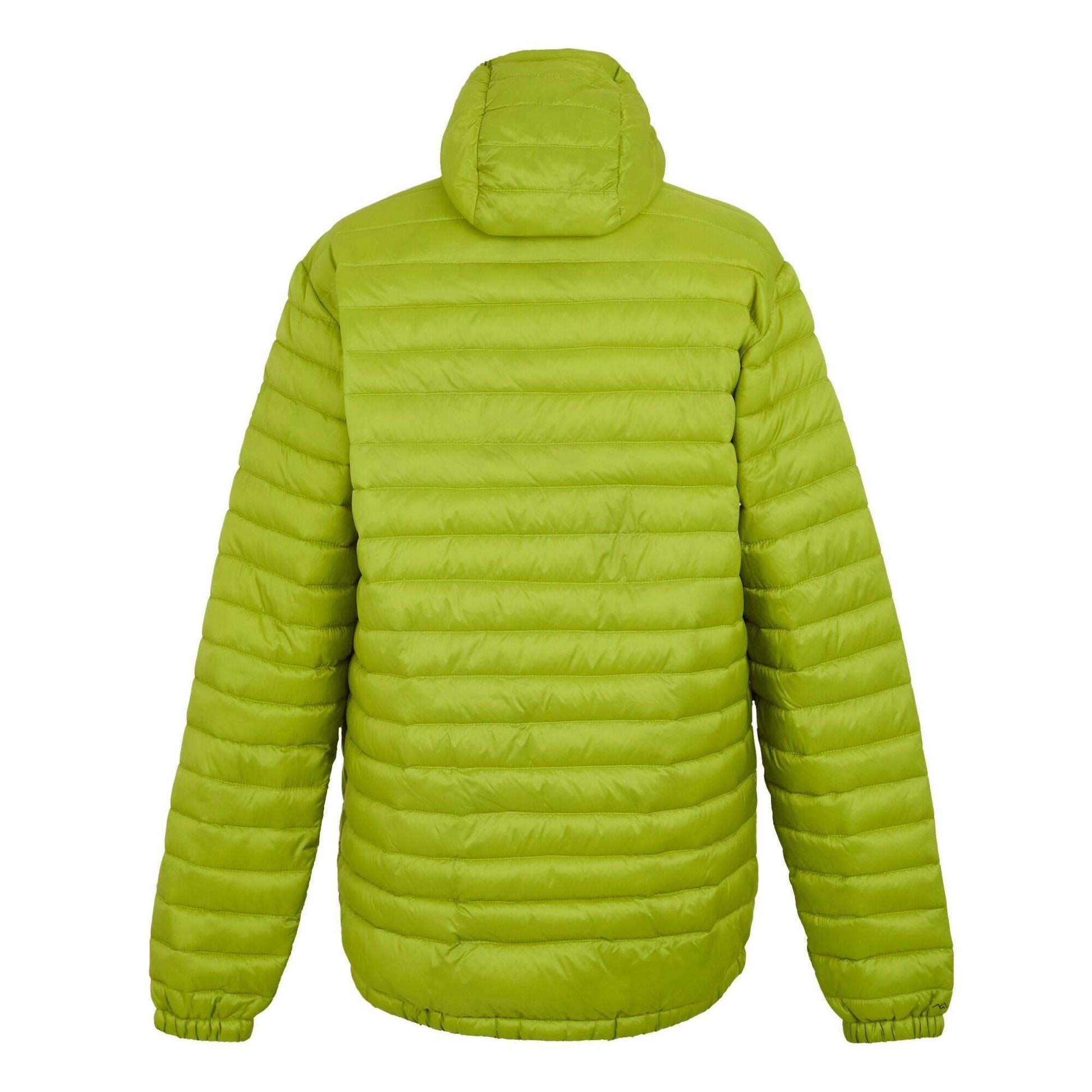 Grenoble Green - Back - Regatta Mens Hurden Padded Jacket