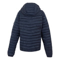 Navy-Icy Morn - Back - Regatta Womens-Ladies Hurden Padded Jacket