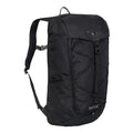 Ash - Side - Regatta Survivor V 25L Backpack