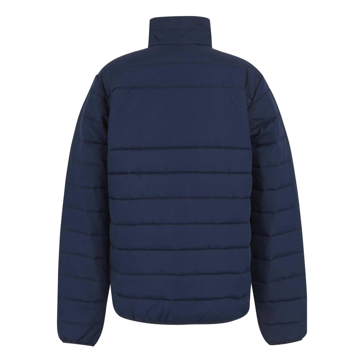Navy - Back - Regatta Professional Mens Thermal Jacket