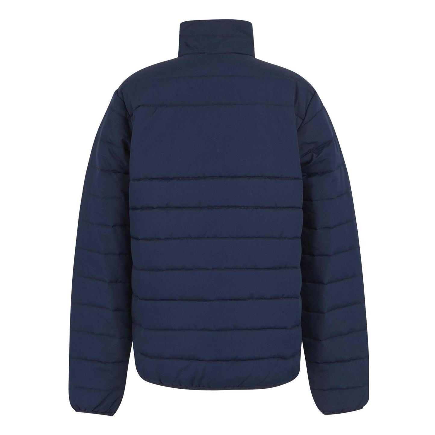 Navy - Back - Regatta Professional Mens Thermal Jacket