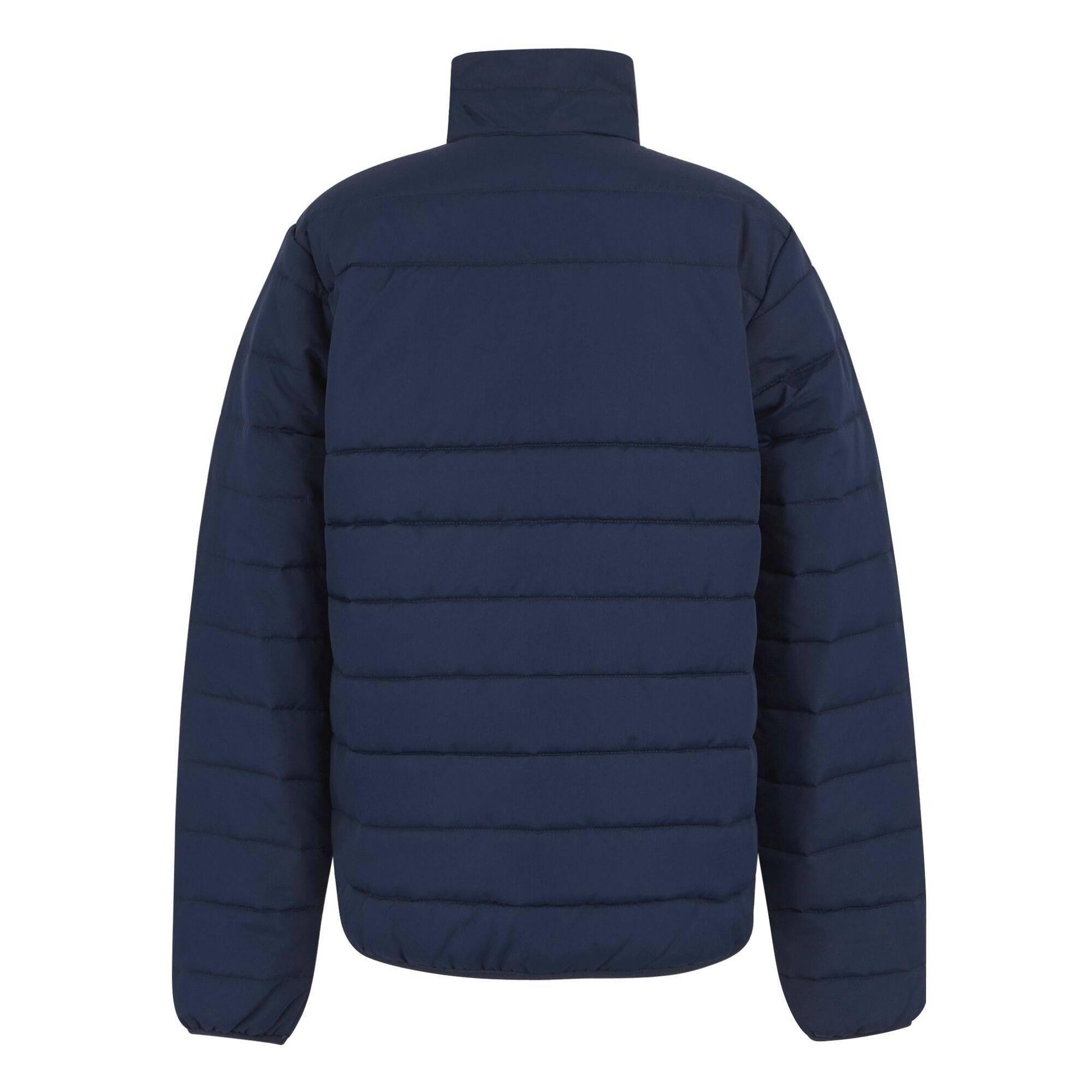 Navy - Back - Regatta Professional Mens Thermal Jacket