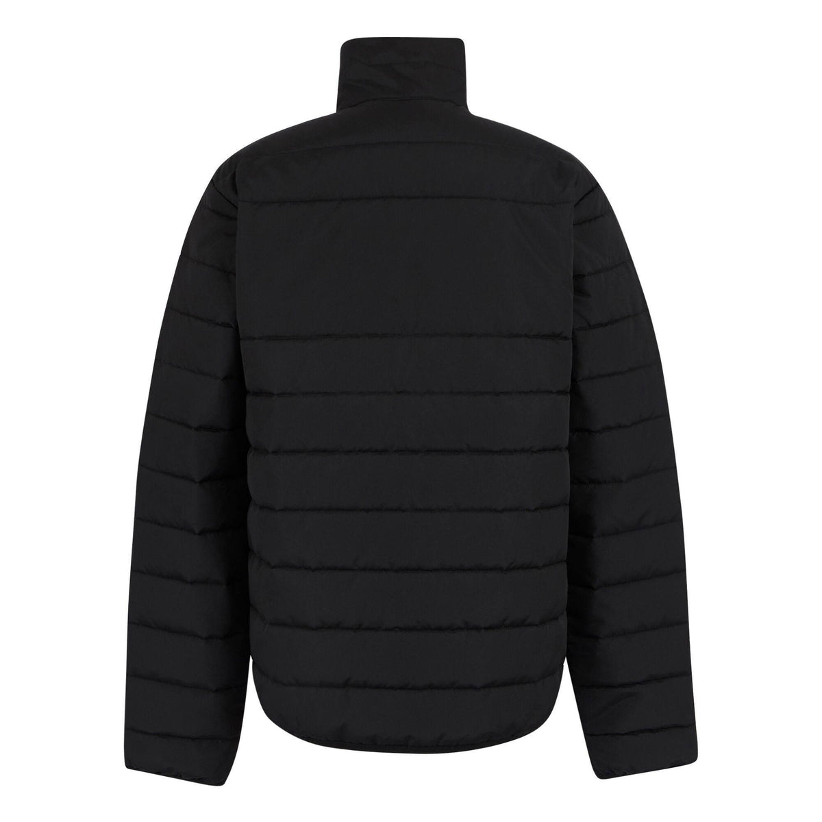 Black - Back - Regatta Professional Mens Thermal Jacket