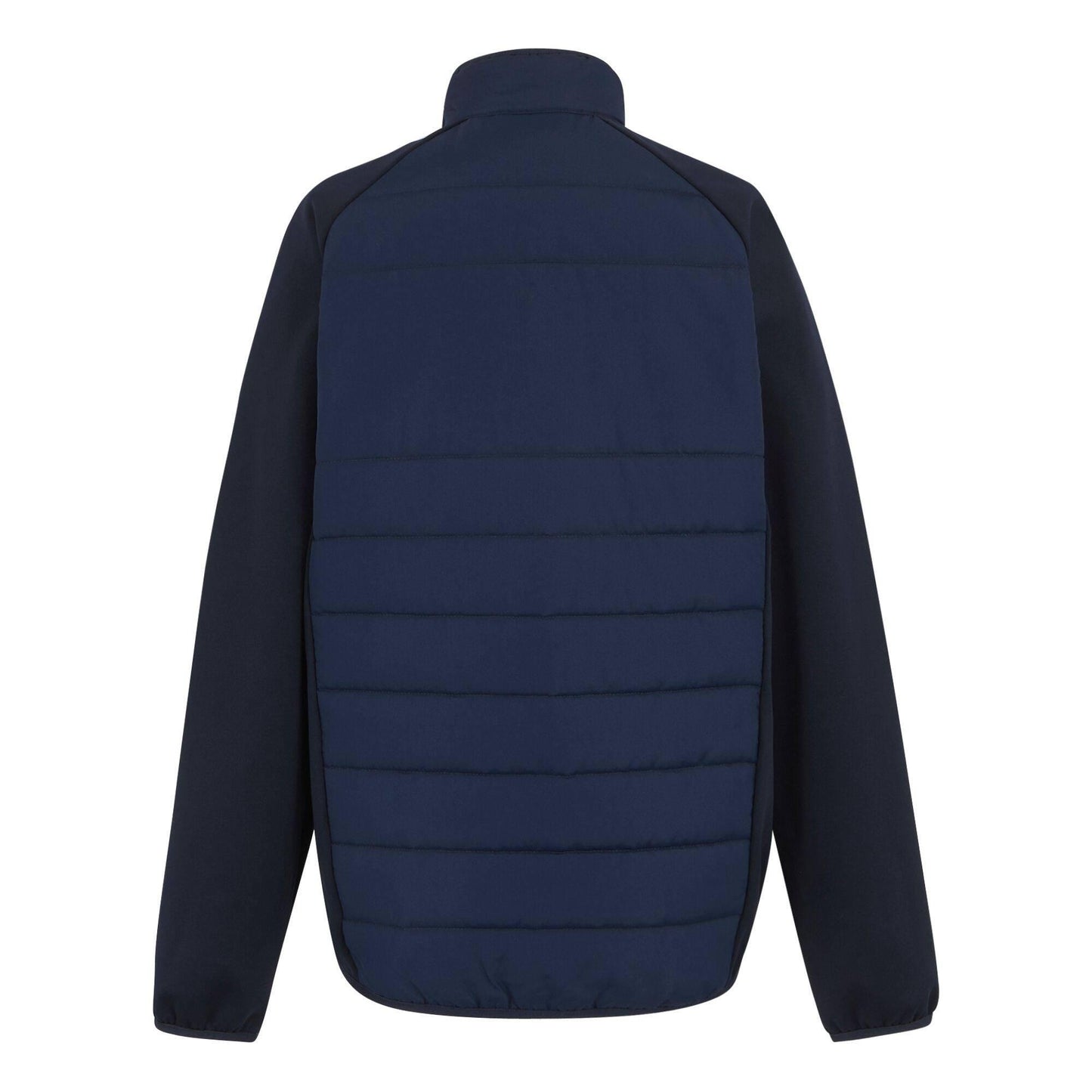 Navy - Back - Regatta Professional Mens Hybrid Jacket