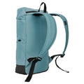 Ivy Moss - Back - Regatta Shilton II 15L Backpack