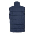 Navy - Back - Regatta Womens-Ladies Courcelle II Quilted Gilet