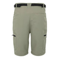 Golden Sand - Pack Shot - Regatta Mens Leesville III Zip-Off Hiking Trousers