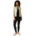 Light Vanilla - Lifestyle - Regatta Womens-Ladies Malana Soft Shell Jacket