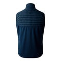 Moonlight Denim - Back - Dare 2B Mens Descending II Gilet