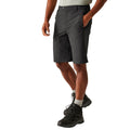 Ash - Lifestyle - Regatta Mens Highton II Long Length Walking Casual Shorts