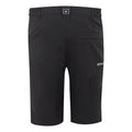 Ash - Back - Regatta Mens Highton II Long Length Walking Casual Shorts