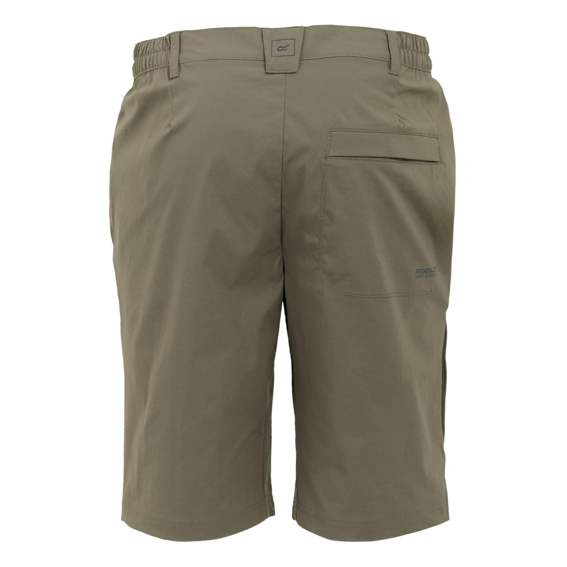 Treetop - Back - Regatta Mens Highton II Long Length Walking Casual Shorts