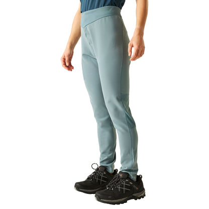 Element Grey - Lifestyle - Dare 2B Womens-Ladies Torrek Walking Leggings