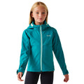 Exotic Plume-Aruba Blue - Lifestyle - Regatta Childrens-Kids Acidity VIII Soft Shell Jacket