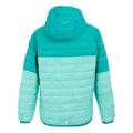 Aruba Blue-Turquoise - Pack Shot - Regatta Childrens-Kids Hillpack III Hooded Jacket