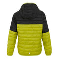 Grenoble Green-Black-Wild Lime - Back - Regatta Childrens-Kids Hillpack III Hooded Jacket