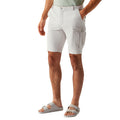 Iceberg - Lifestyle - Regatta Mens Bendrick Shorts