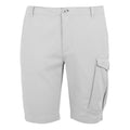 Iceberg - Front - Regatta Mens Bendrick Shorts