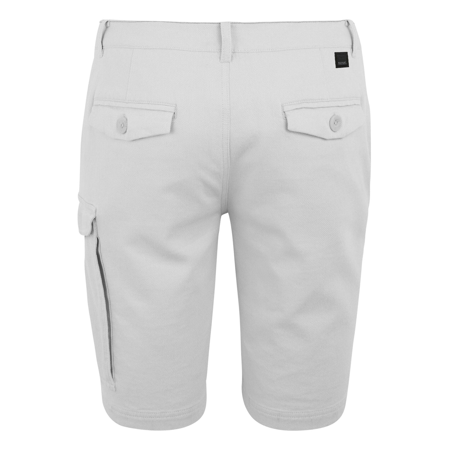 Iceberg - Back - Regatta Mens Bendrick Shorts
