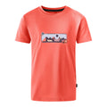 Peach Bloom - Front - Dare 2B Childrens-Kids Amuse II Mountain T-Shirt