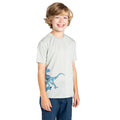 Aqua Grey - Lifestyle - Dare 2B Boys Amuse II Velociraptor T-Shirt