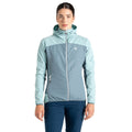 Aquifer-Element Grey - Lifestyle - Dare 2B Womens-Ladies Ardently Colour Block Soft Shell Jacket