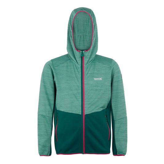 Rainforest-Dusty Green - Front - Regatta Childrens-Kids Prenton III Jacket