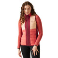 Rumba Red-Mineral Red - Lifestyle - Regatta Womens-Ladies Leedre Body Warmer