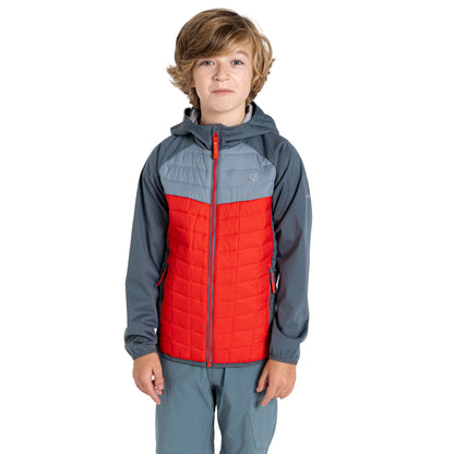 Lead Grey-Stormy Weather-Seville - Lifestyle - Dare 2B Childrens-Kids Explore II Colour Block Hybrid Jacket