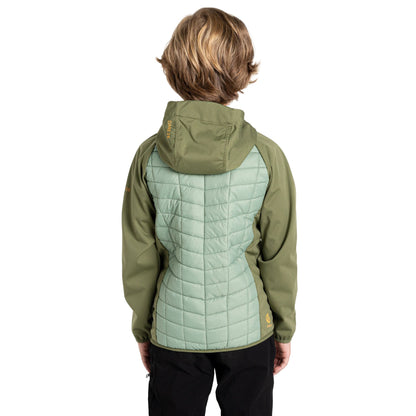 Olivine Green-Hedge Green-Tawny - Pack Shot - Dare 2B Childrens-Kids Explore II Colour Block Hybrid Jacket