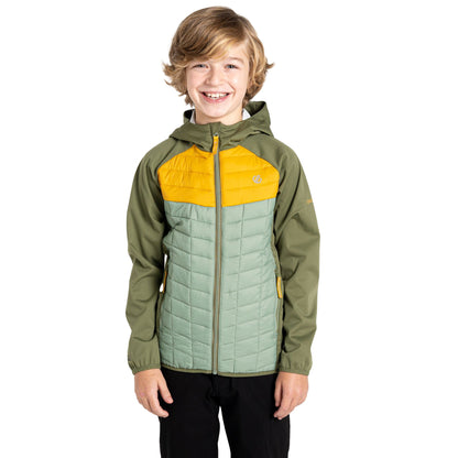 Olivine Green-Hedge Green-Tawny - Lifestyle - Dare 2B Childrens-Kids Explore II Colour Block Hybrid Jacket