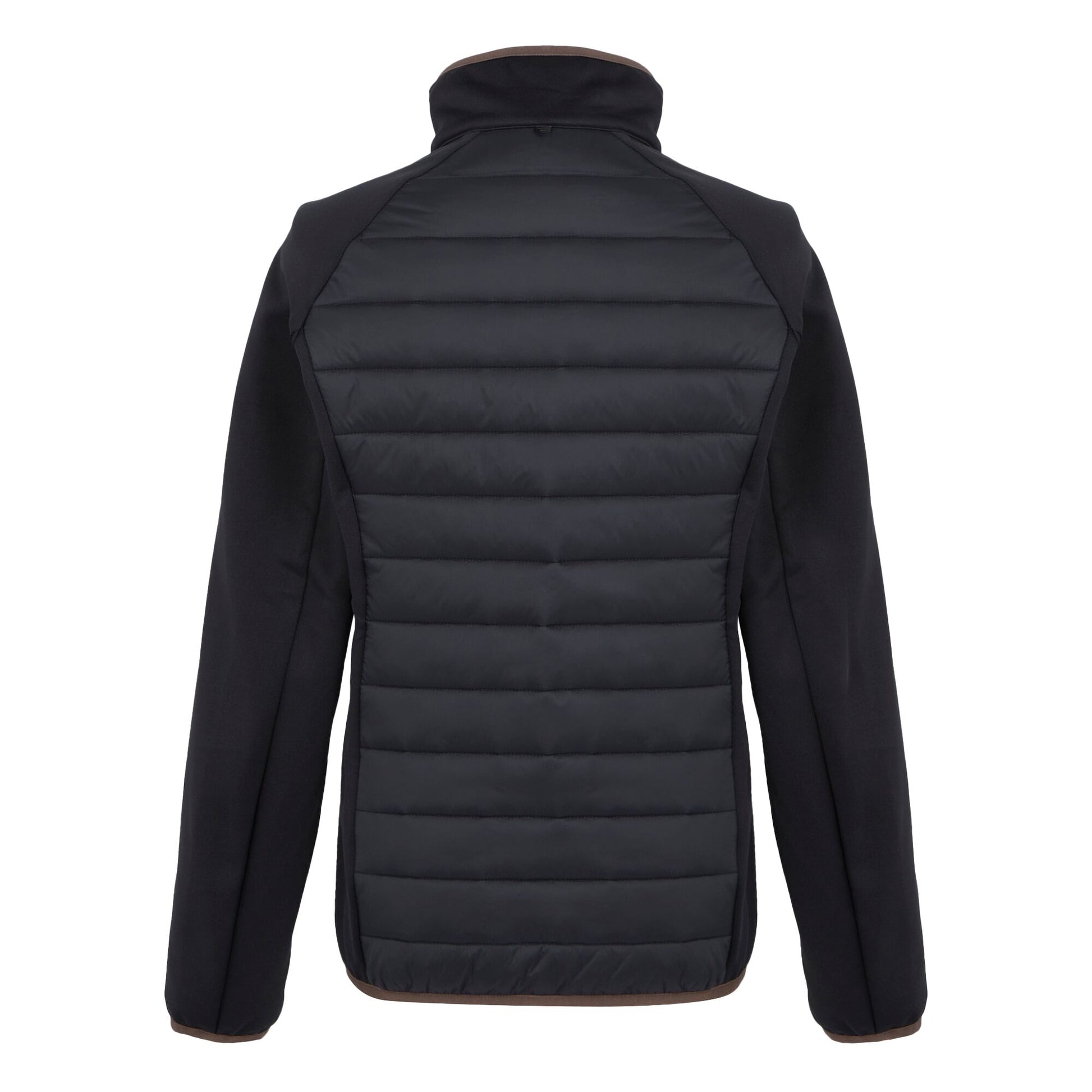 Black-Warm Taupe - Back - Regatta Womens-Ladies Carletta IX 3 in 1 Jacket