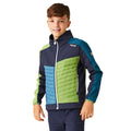 Navy-Piquant Green - Lifestyle - Regatta Childrens-Kids Brynden Padded Full Zip Soft Shell Jacket
