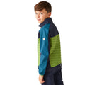 Navy-Piquant Green - Pack Shot - Regatta Childrens-Kids Brynden Padded Full Zip Soft Shell Jacket