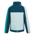 Moroccan Blue-Bleached Aqua - Back - Regatta Childrens-Kids Brynden Padded Full Zip Soft Shell Jacket