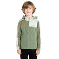 Olivine Green-Hedge Green - Lifestyle - Dare 2B Childrens-Kids Thriving IV Fleece Jacket
